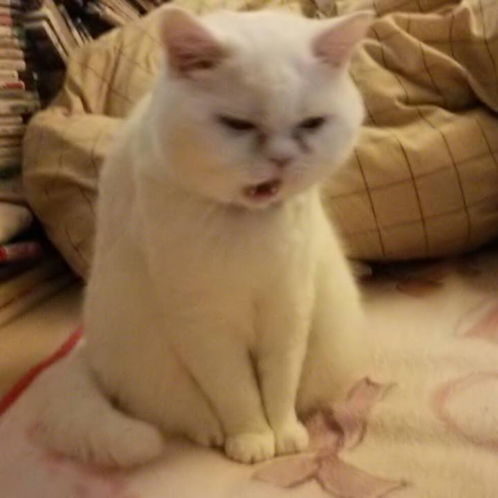 Baa1661a 1f8c 4ebe 9e6c f8b664744dc2