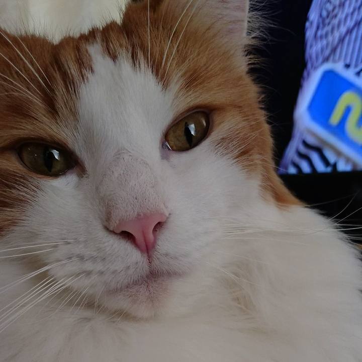 Baa17f2f 9571 4137 a412 78df286d1687