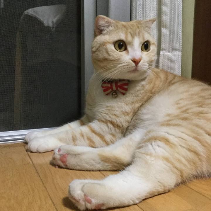 Baa189b1 5b59 4f46 95c8 e749ab2aad96