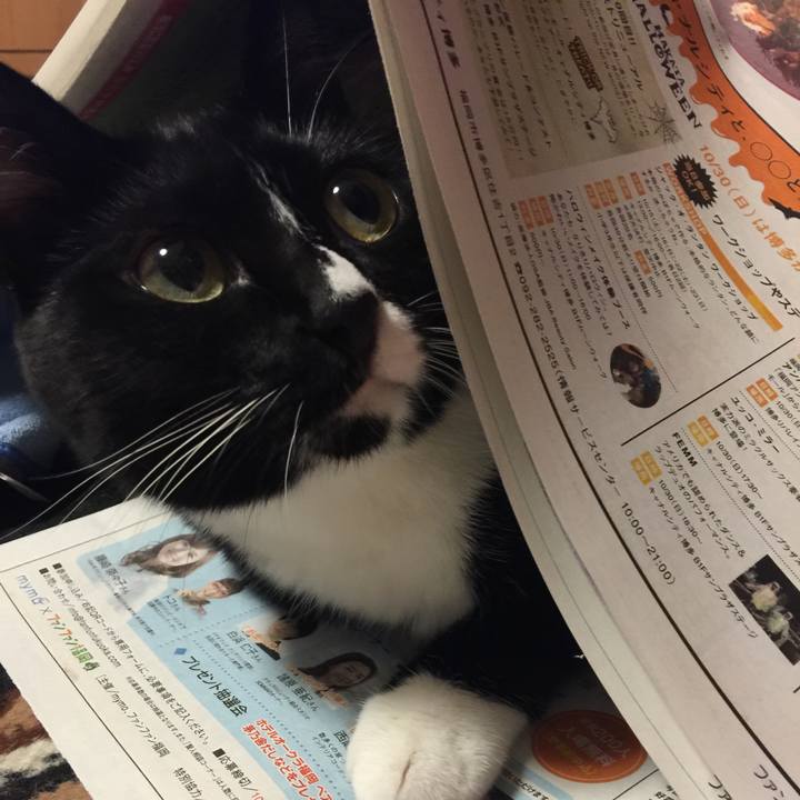 Baa25359 ea9b 4221 9c49 9d0c17eef271