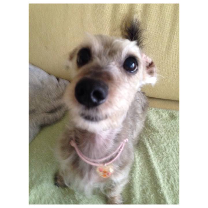 Baa2cfe8 2626 41d4 8bf5 af938a757e6d