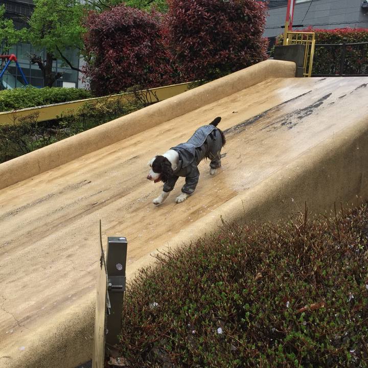 Baa2f517 5f3b 48e7 917e 6eaa029a0ce7