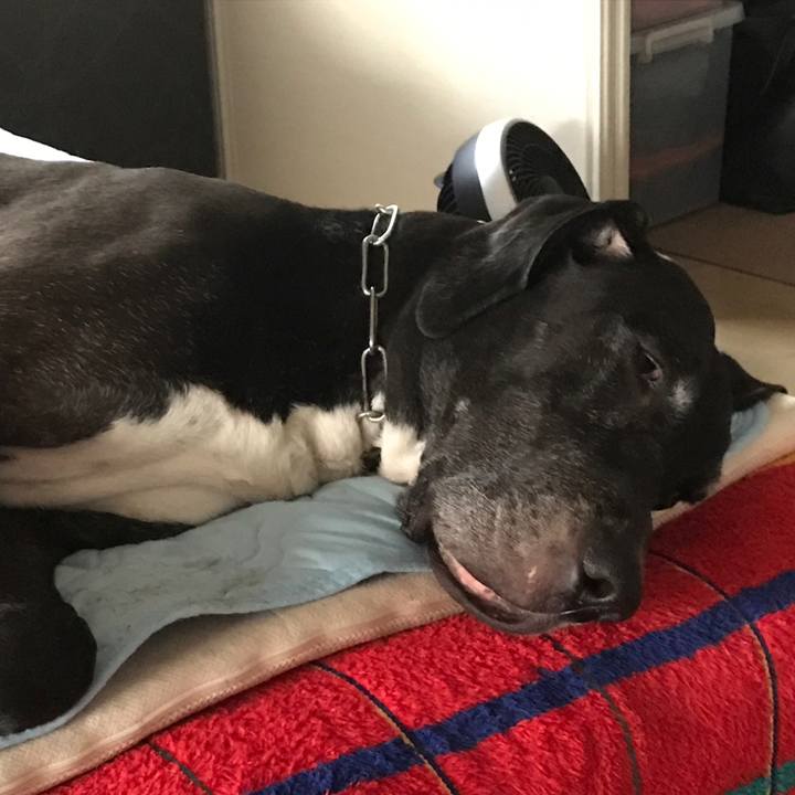 Baa32c2c 3fe9 435a 953d 151a8badb356