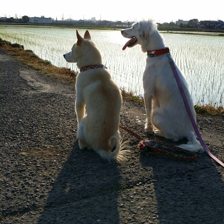 Baa33860 abc6 49a5 8a66 27bb602e9690