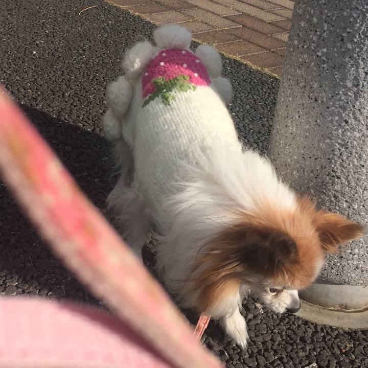 Baa36992 68da 40d4 bb86 81123bc7c533