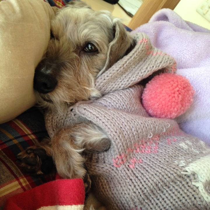 Baa3815f 8162 4a79 92fa 86da9263a958