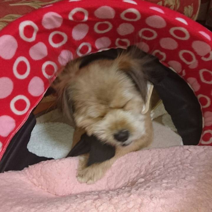 Baa48895 f6a9 47dc b774 7e32d4dc8395