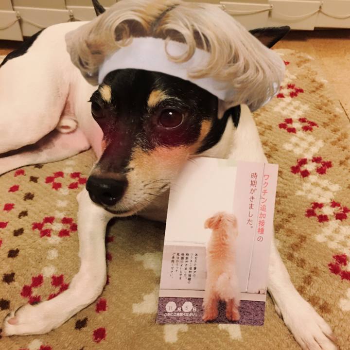 Baa4d965 2322 4d56 a9fd b1808d4ebfc4