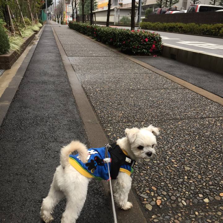 Baa51962 971d 4296 8973 4fba2aaf81f7