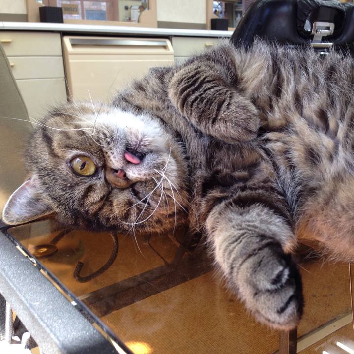 Baa61079 c8e7 42b4 ad9a 59660f91cc75