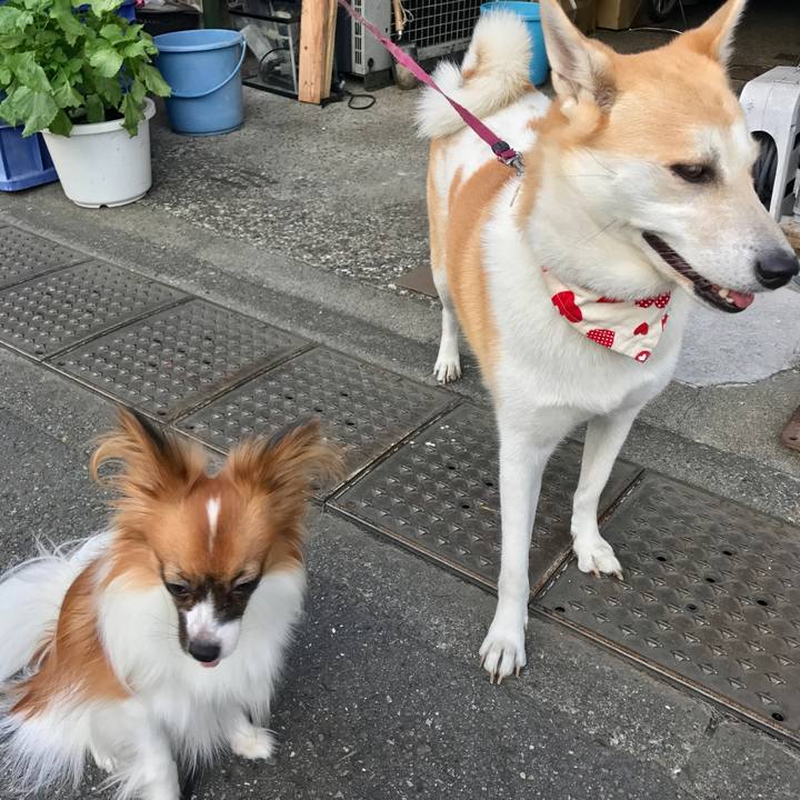 Baa6ff5f f635 45f7 ab0b 8a59daa762df