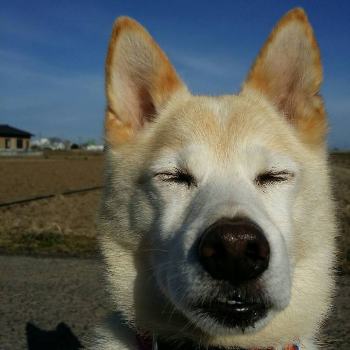 Baa7d26d cc05 4853 b1c7 322f96dee539