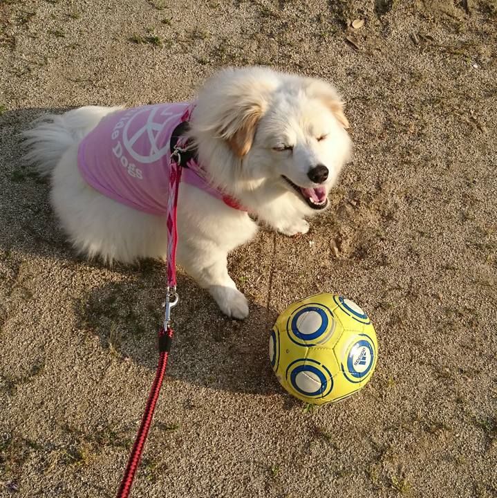 Baa7f1e7 ed1e 44a5 9caa 3dfe22c00b44