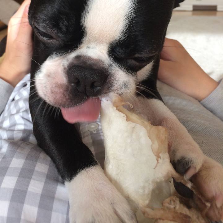 Baa7f69a 6c55 4b10 8633 0c9fcfd291a7