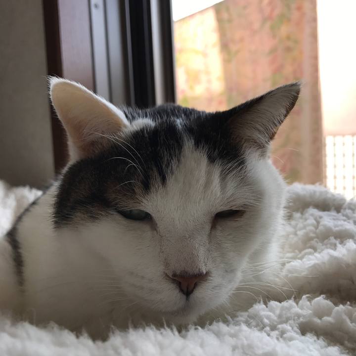 Baa88aae 6112 40b3 9b62 0b020b2ea9ba