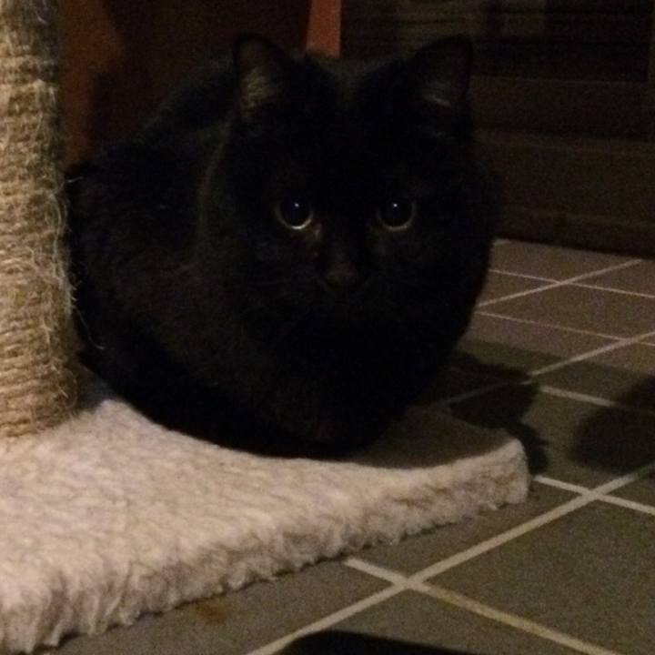 Baa97853 6c0c 4df1 8b04 bbe3989c8d29