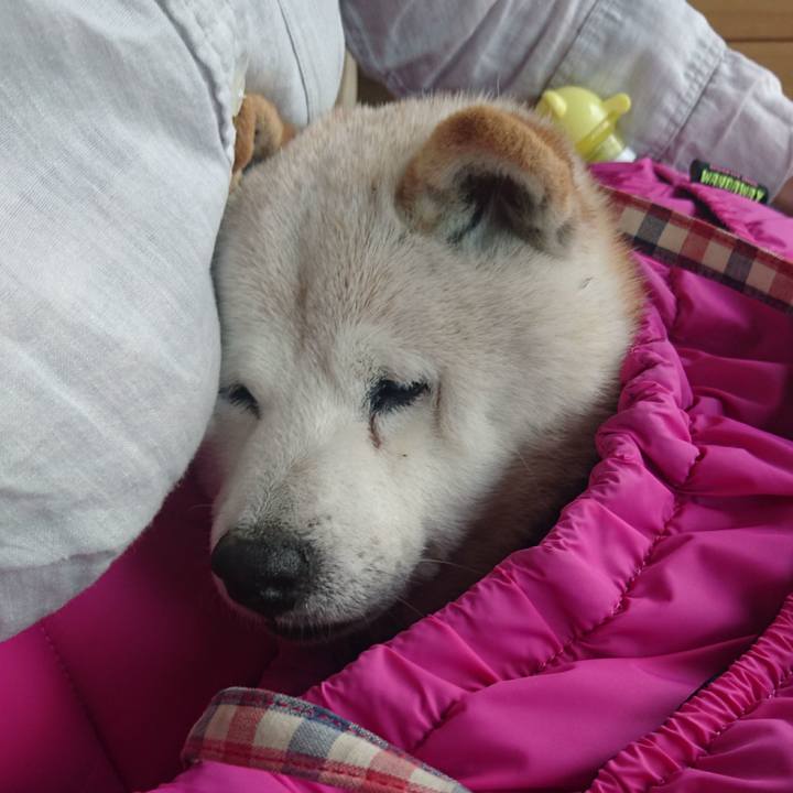 Baaa0dfa a624 4345 8a02 ec2a70905353