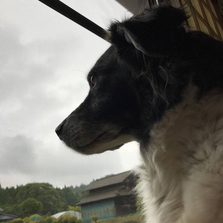 Baaa3851 1fd0 42ca 8399 33aaf3711aff