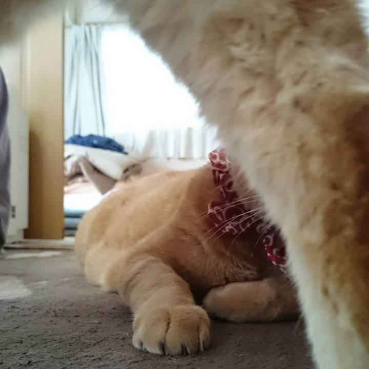 Baaa39f0 f172 4cb6 8e24 b77f1556549b