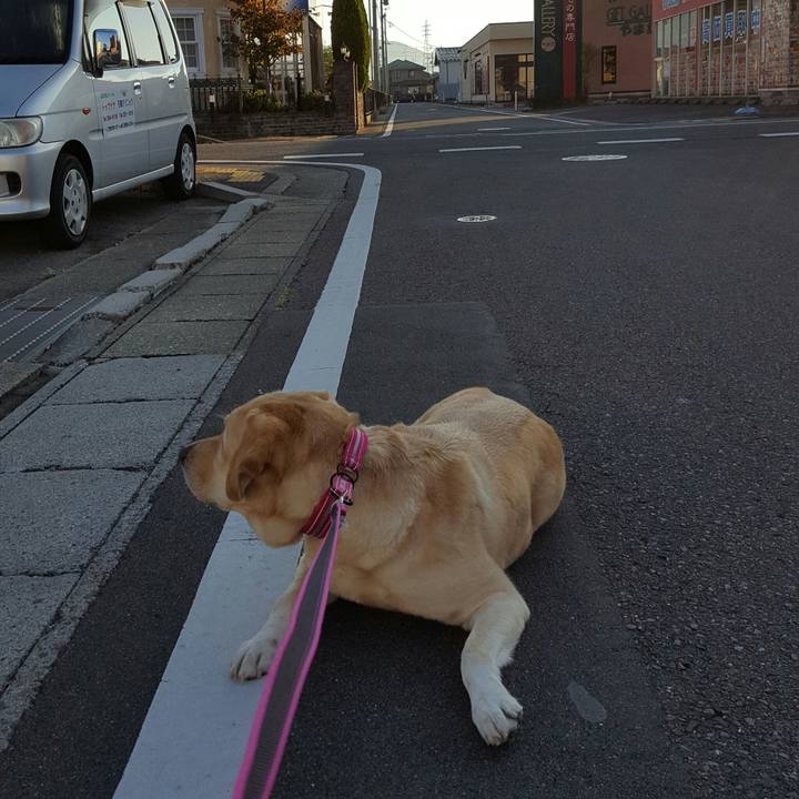 Baaa5bbe 7d13 42b4 a4db 9ad4d8760f5e