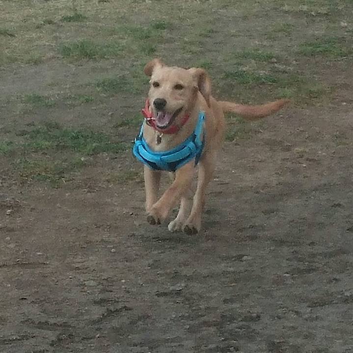 Baaadb0c 794e 45ac a327 0ac36deb1a4e