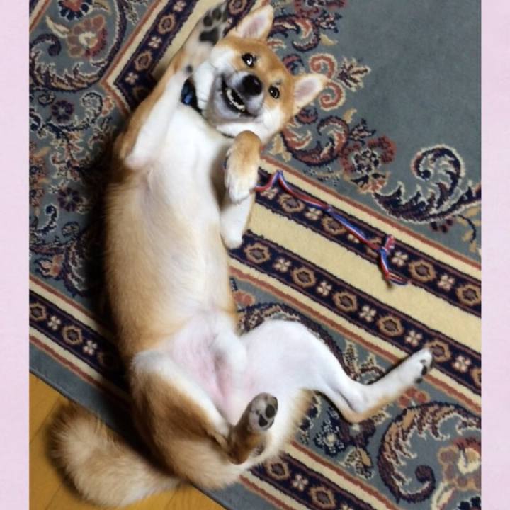 Baab8da0 9d0b 4d46 8a46 f897f25c1a52