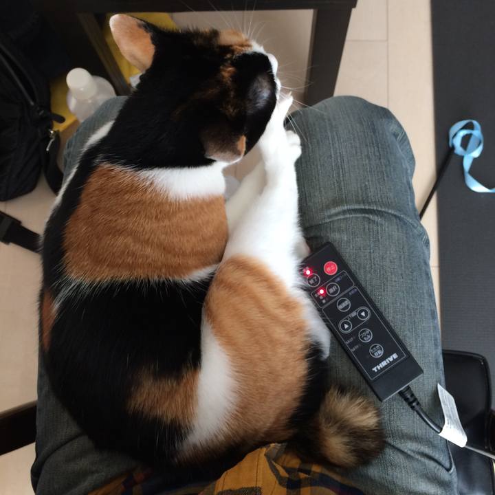 Baabbfc9 985c 471f b2bb 488c71806d2c