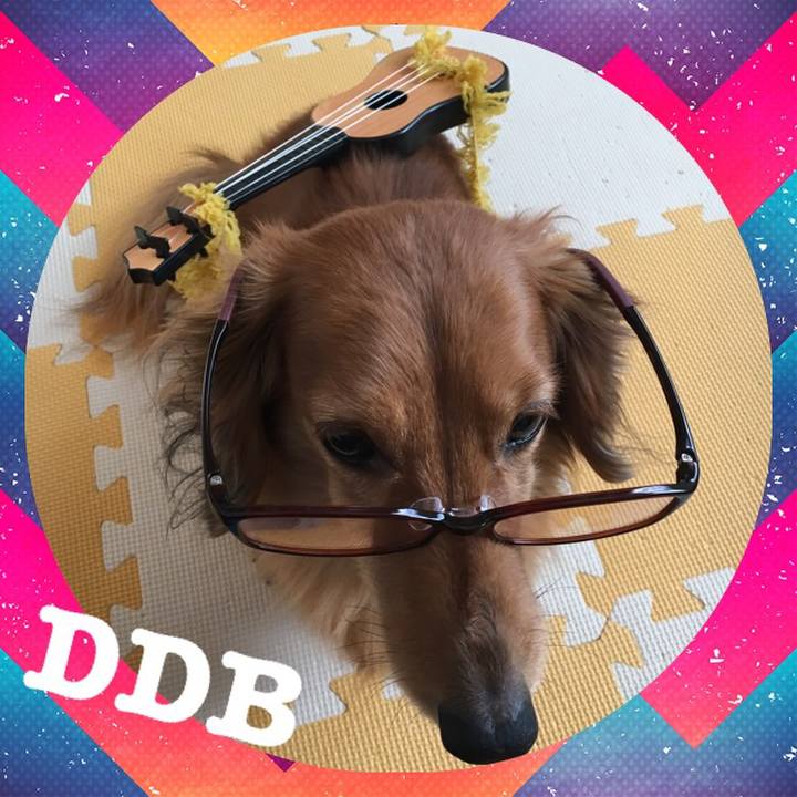 Baabff04 034b 45a7 8d6c 20df1842ca2c