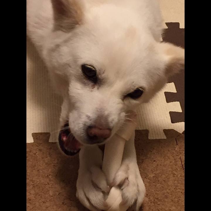 Baac3533 19c6 418e 8afb eea9d3404b95