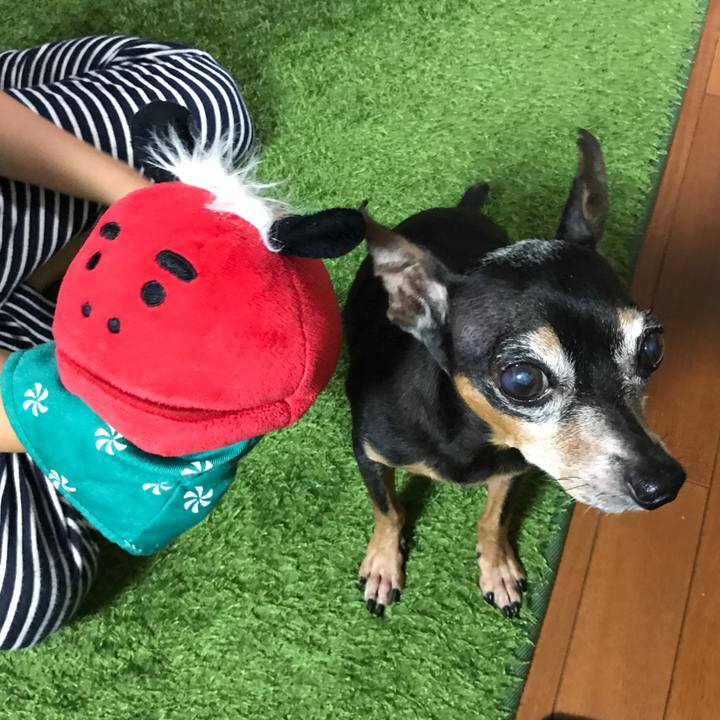 Baac789c da7d 4524 b014 d0415d51f35e