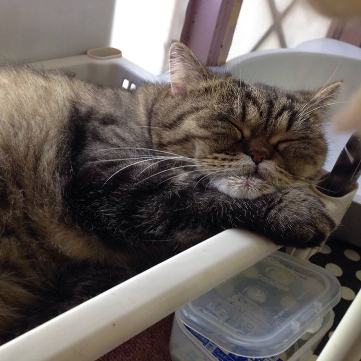 Baacbd69 b832 41b6 a79d 122c96b4f6ec