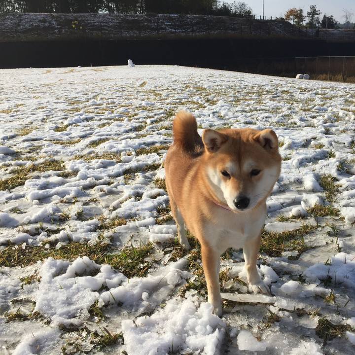 Baad01d6 dad8 485e aee3 baa5f4038630