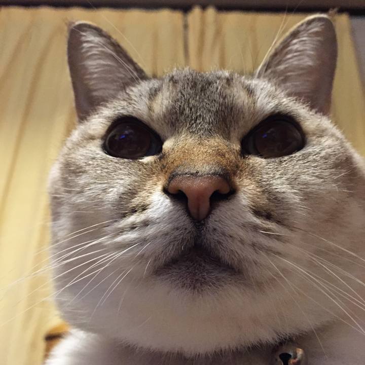 Baadad64 4d61 4122 9d99 f9d491d414de