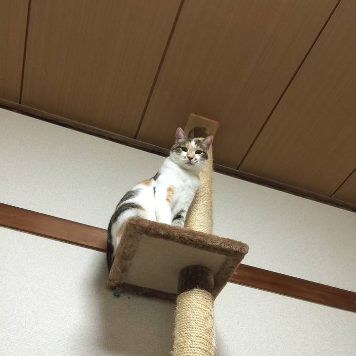 Baadb817 4748 4db6 b1fa 8e655503e9fa