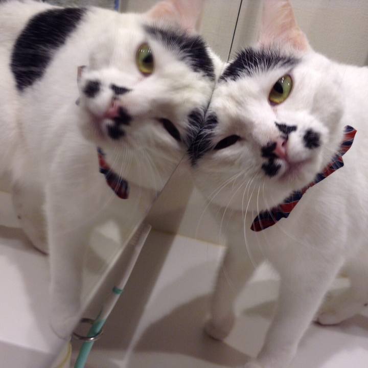 Baadc5f5 af8c 43d5 bd84 0ec058be2787