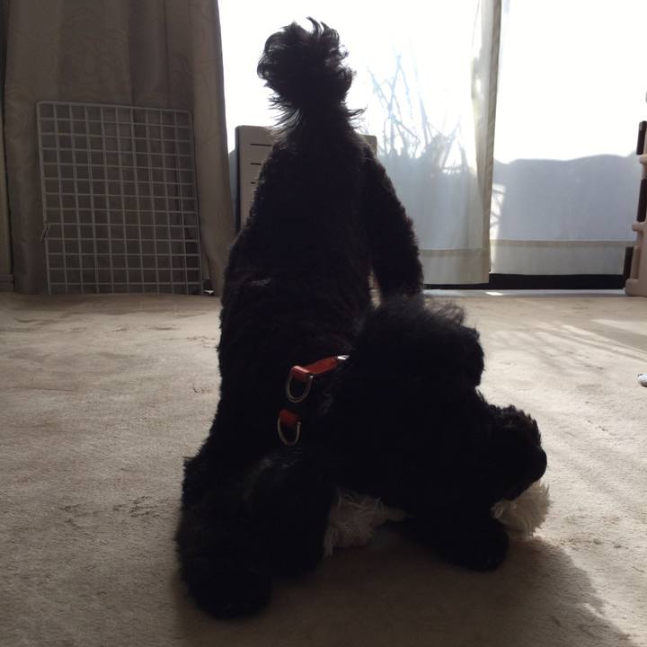 Baaea5ac f1a7 4aa4 a8fd d46201cf4b76