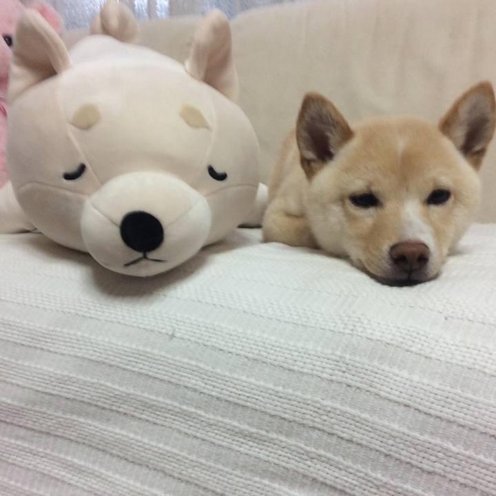 Baaeffd0 ffef 493b a738 fb1ce9f89d6c