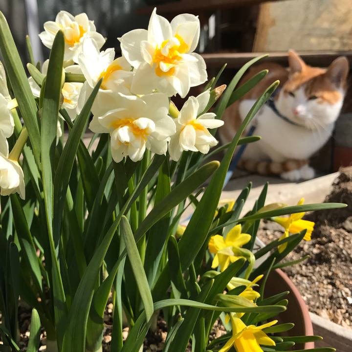 Baaf0216 2fa4 440d 89b9 58bbd317c5a3