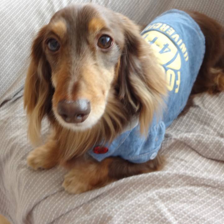 Baafb2ca b4a1 4bea b12c 32409dd39536