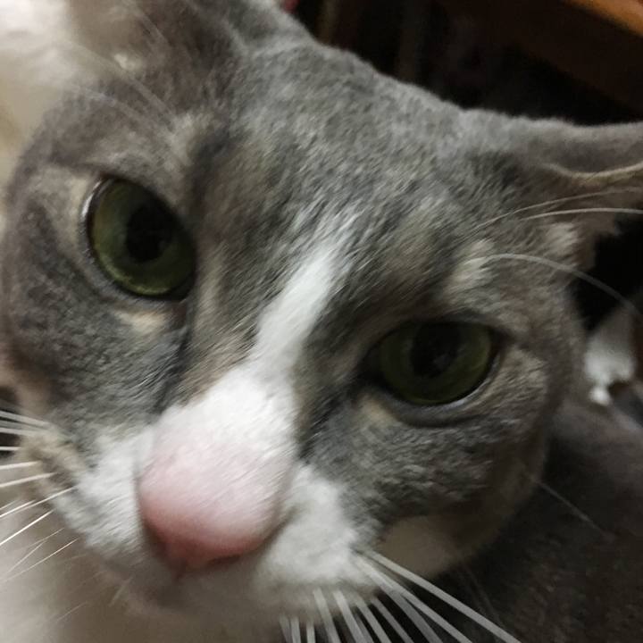 Baafda07 12fb 4d16 880d aa9f1815f6fc