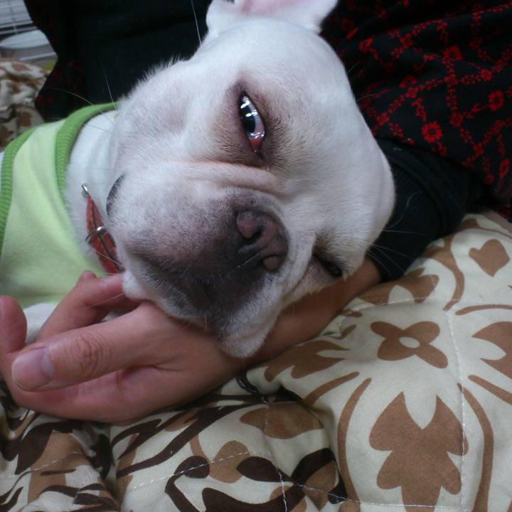 Bab000bf 7892 470d bb9c e1ca3e259e38