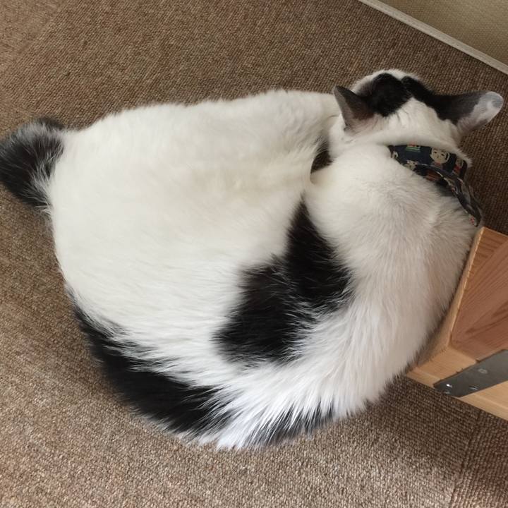 Bab02e98 4a67 4bd2 b9c2 2e764e6b1e10