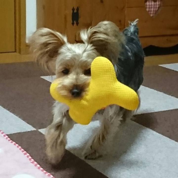 Bab0e6a8 c4b5 451e a974 c45178d50be3