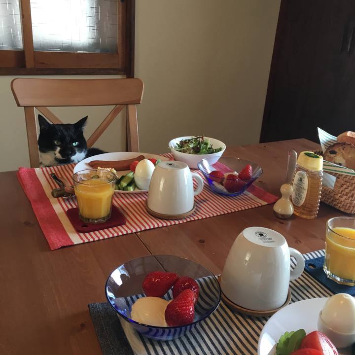 Bab12adb f483 4270 aa13 0327e3b17f4e