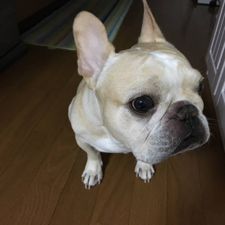 Bab21ac0 69e4 4900 9186 462928e200f2