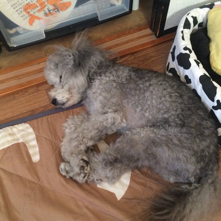 Bab22cbc be73 4940 8ecf ae5e6677e96c