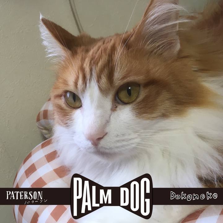 Bab29d99 46c1 4ec8 8464 318cc9b2268b