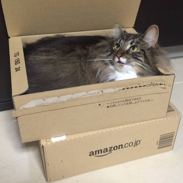 Bab2c8ea e498 49fb 8053 740861ae5f74