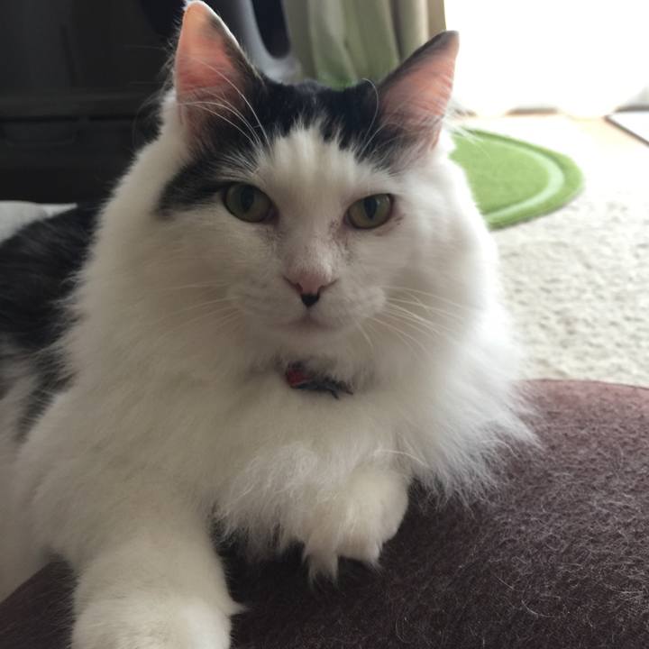 Bab2e22e 3d4a 47cb 9809 ca7e0323ec2e