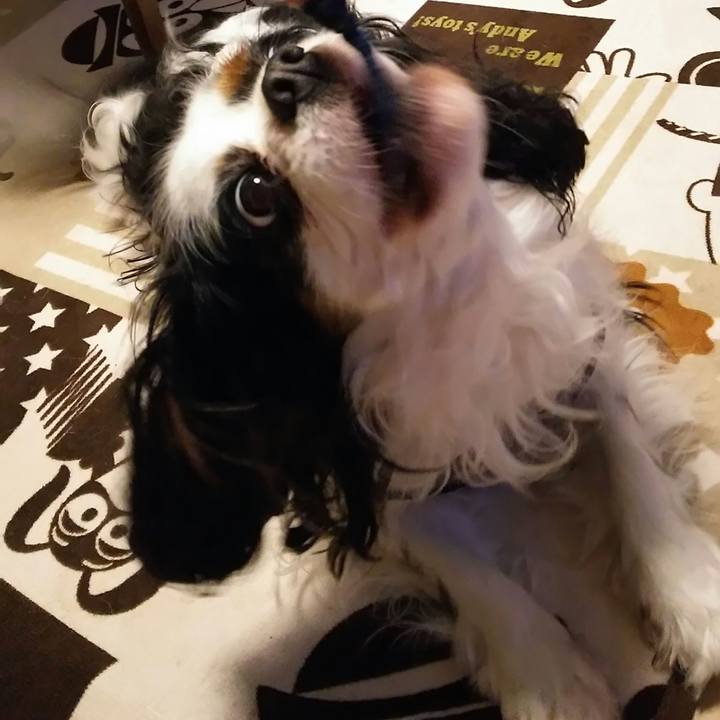 Bab34581 0329 4ea5 9f46 7bc301debd77